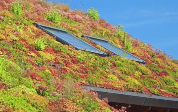 North Brook End living roof systems