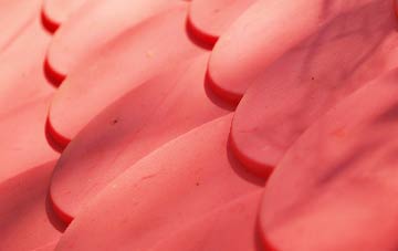 North Brook End plastic roof costs